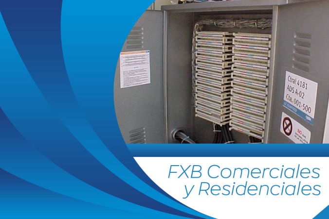 Fxb